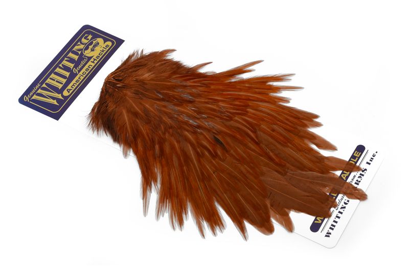 Whiting American Rooster Saddle â€“ dealerweb-cms-73e48006-721e-47da-9e87-f3d08a7d974d.jpg