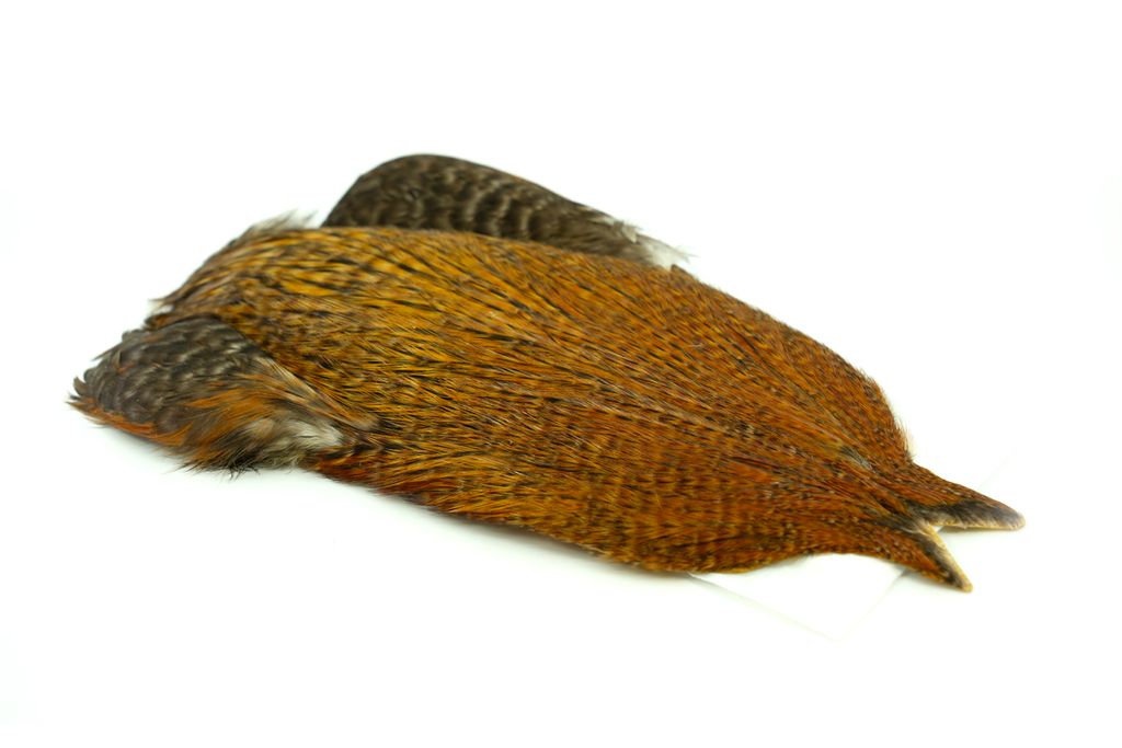 4B Whiting Rooster Cape - Variant