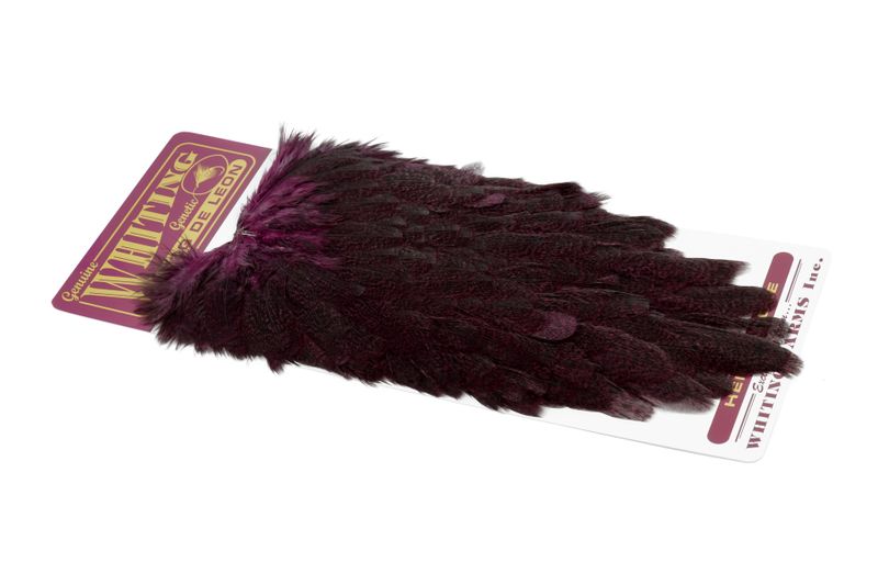 Whiting Coq de Leon Hen Saddle â€“ dealerweb-cms-751ecc06-0ca0-4d4d-b0e7-3da7789d18cc.jpg