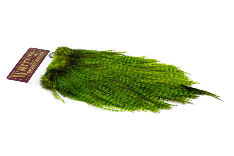Whiting Coq de Leon Rooster Saddle – Silver â€“ dealerweb-cms-76aeb6c8-cf37-458c-81fc-03685e593dcd.jpg