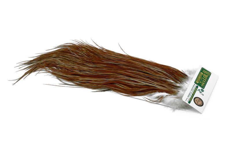 Whiting Hebert Rooster Saddle – Bronze â€“ dealerweb-cms-7723d160-ecc0-4eaf-ba71-1e0304b1e64e.jpg