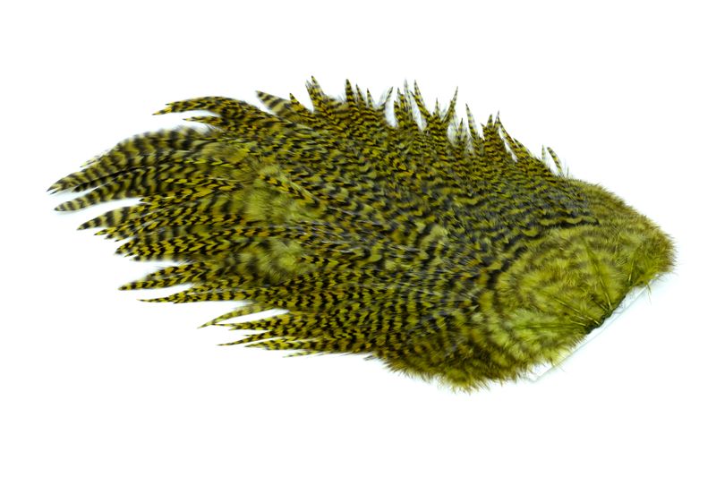 Whiting 4 B's Rooster Saddle â€“ dealerweb-cms-77bf75d5-1ee7-48b2-a407-b06c56cb67d3.jpg