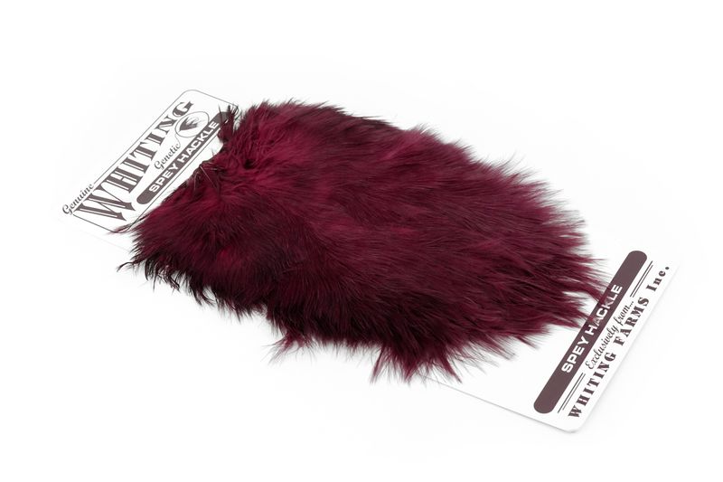 Whiting Spey Hackle Hen Saddle â€“ dealerweb-cms-77e98e48-8c91-4200-854e-8ca99cc9927a.jpg