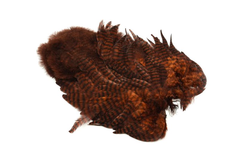 Whiting Rooster SH/C â€“ dealerweb-cms-78dbafea-dd3e-4c15-9ead-9cbf4b59de6e.jpg