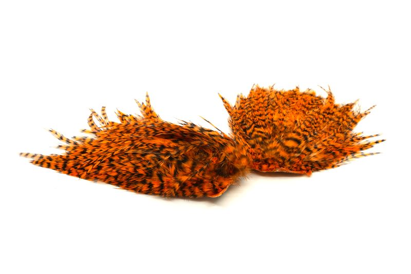 Whiting American Streamer Pack â€“ dealerweb-cms-79f4f030-8e11-464e-beec-9440a497185f.jpg