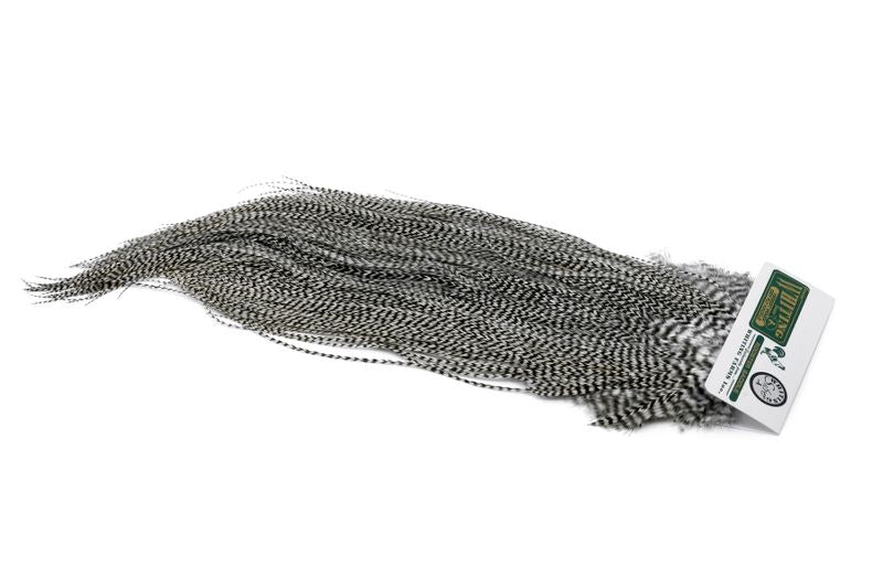 Whiting Hebert Rooster Saddle – Silver â€“ dealerweb-cms-7a9ee8ca-a16e-4c1b-979b-2738369fce4f.jpg