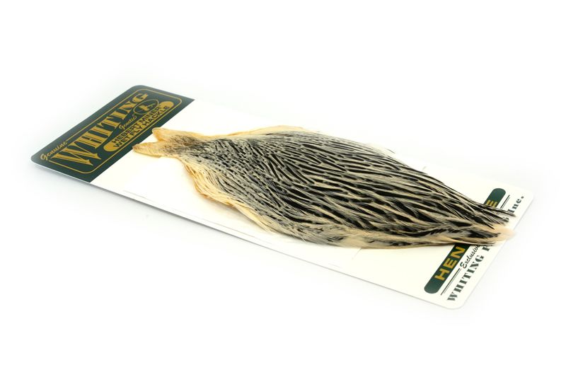 Whiting Hebert Hen Cape â€“ dealerweb-cms-7ab4981b-dbcd-4ce9-8792-71a398c0b3fb.jpg