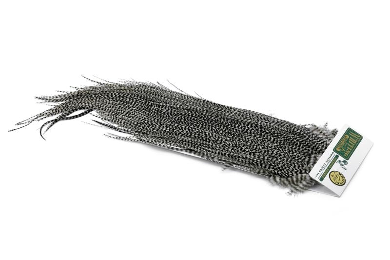 Whiting Hebert Rooster Saddle – Gold â€“ dealerweb-cms-7aee31cc-208f-496f-a836-4ce71e8b3ea5.jpg