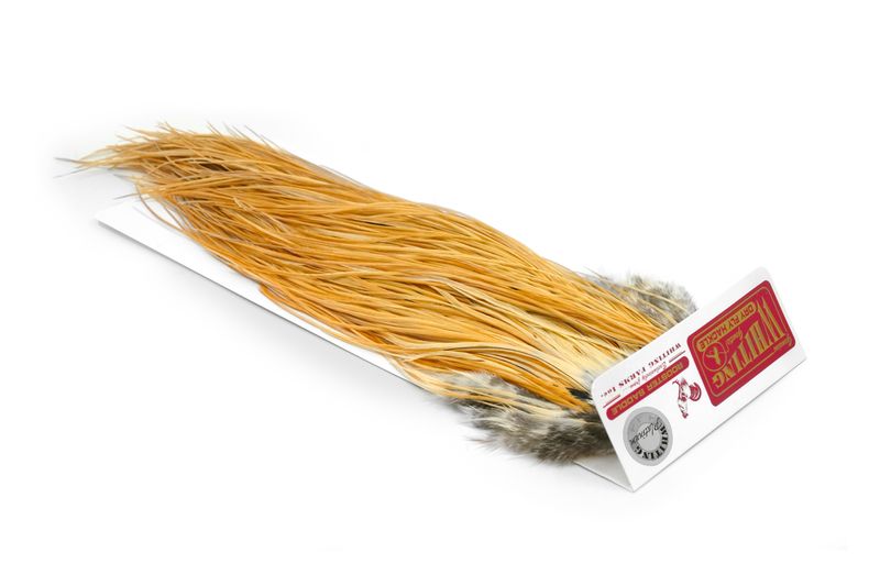 Whiting Rooster Saddle – Platinum â€“ dealerweb-cms-7cffb768-adc0-4b6e-8d95-08be8b39a508.jpg