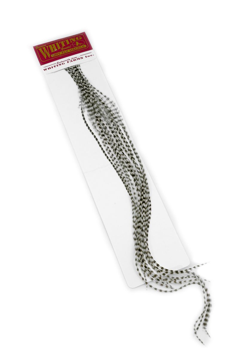 Whiting 100-pk – Size 12 â€“ dealerweb-cms-7d0f5887-a856-45d9-94fb-a7f22a2701b9.jpg
