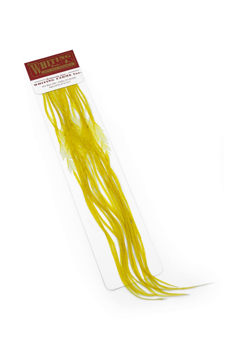 Whiting 100-pk – Size 20 â€“ dealerweb-cms-7d95f340-c1ef-4309-9d42-b3d947791205.jpg