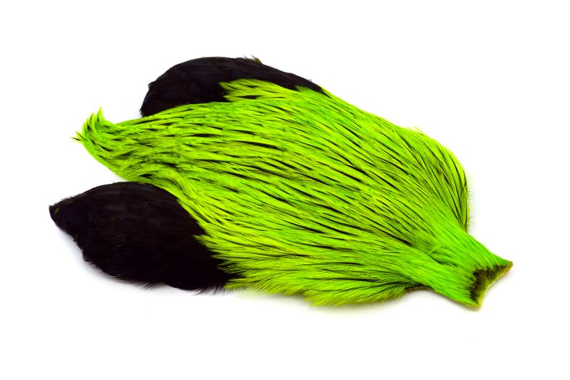 Whiting Brahma Rooster Cape â€“ dealerweb-cms-7e9e7281-d31f-40ef-af0b-aac5dad8e591.jpg