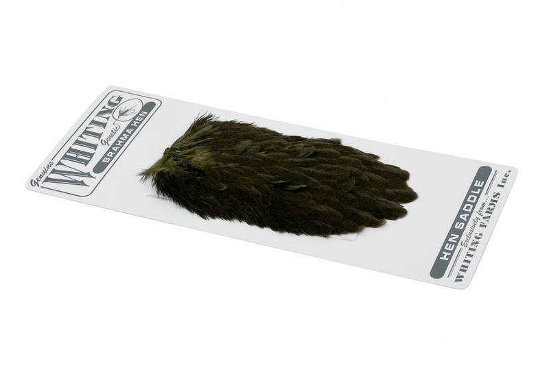 Whiting Brahma Hen Saddle â€“ dealerweb-cms-7ebc6038-aff4-44fd-9ae8-1e3943a4bde5.jpg
