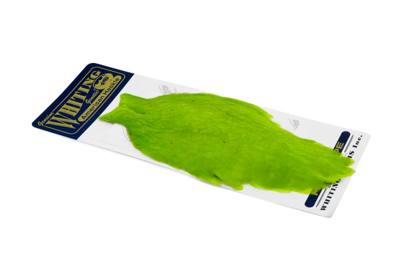 Whiting American Hen Cape â€“ dealerweb-cms-7f0ca145-486b-40b5-8765-e695ae000de2.jpg