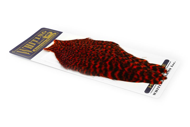 Whiting American Hen Cape â€“ dealerweb-cms-7f2675c4-1902-4177-8d05-cf7fcc72e6e5.jpg
