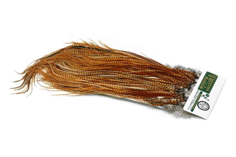 Whiting Hebert Rooster Saddle – Silver â€“ dealerweb-cms-825970ba-0cf5-4c62-97e6-604769dceec1.jpg