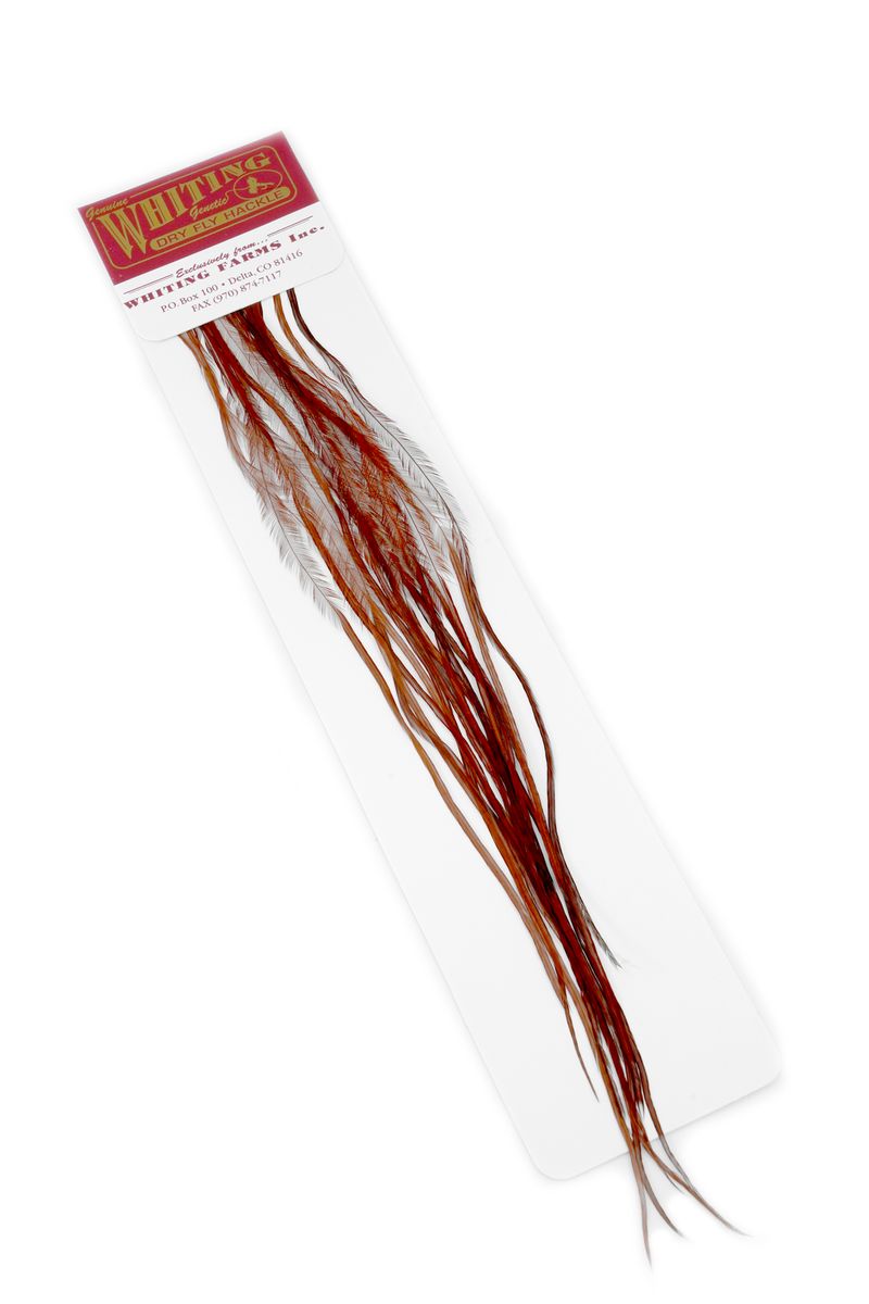 Whiting 100-pk – Size 18 â€“ dealerweb-cms-82af297a-1a45-45f6-a0fd-a22db55c8227.jpg