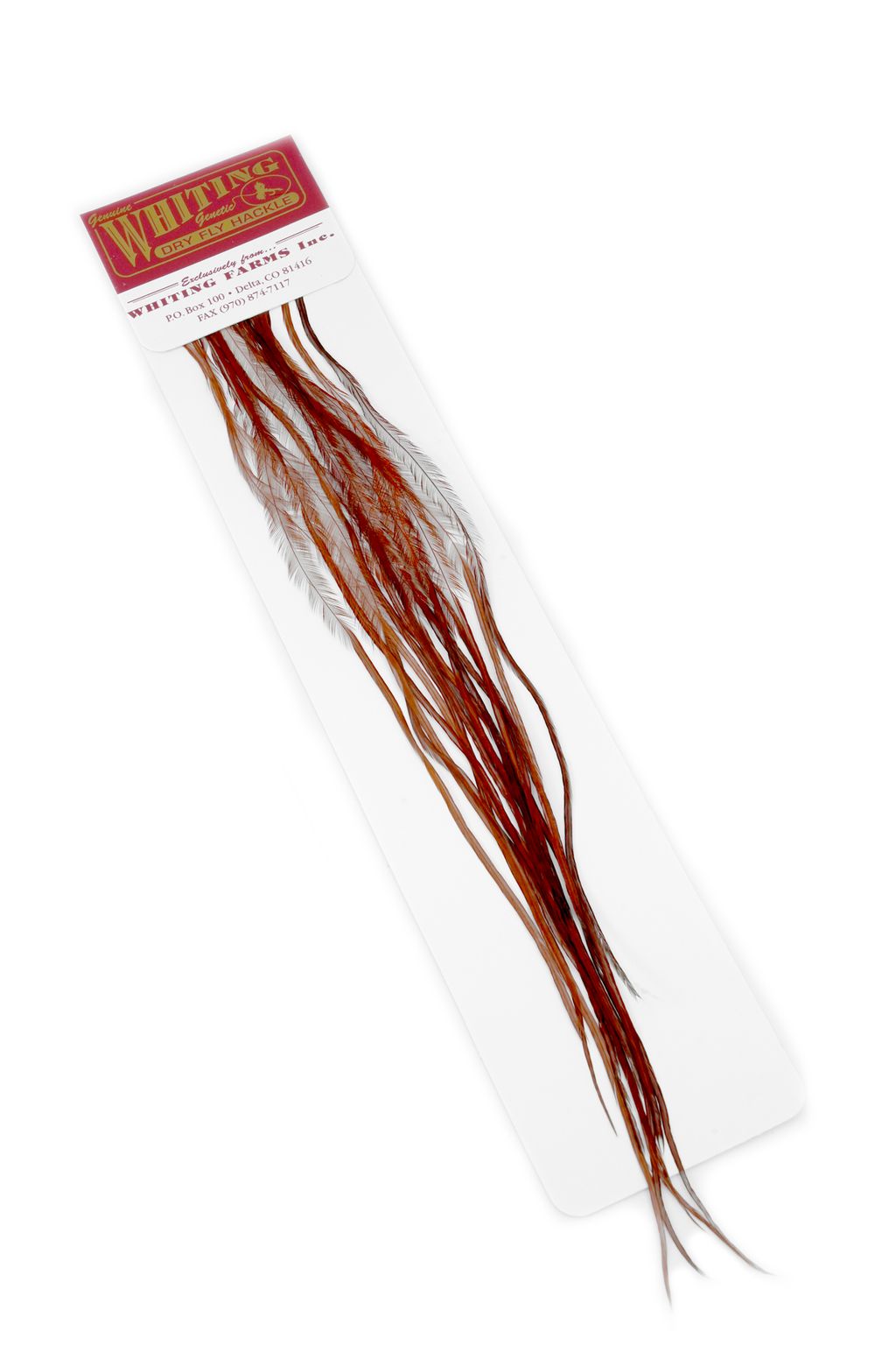 Whiting 100 Pack - Brown Perfekt til flatwing tobis