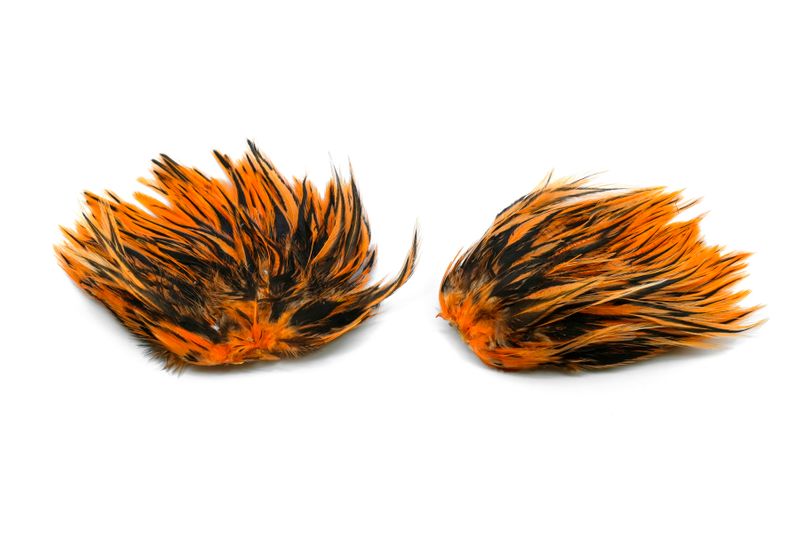 Whiting American Streamer Pack â€“ dealerweb-cms-839a2eb6-9085-4882-a220-644b77d8a06b.jpg