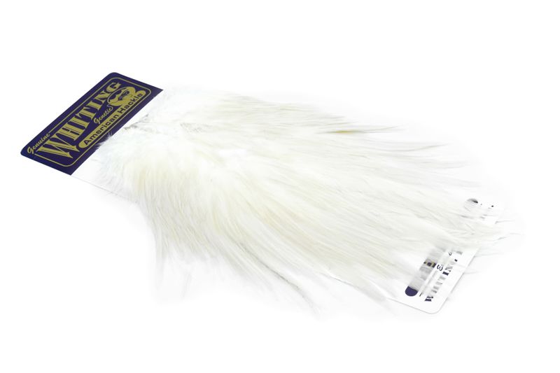 Whiting American Rooster Saddle â€“ dealerweb-cms-83fdf4b6-a97d-4f61-b18d-1b26fedad5e7.jpg