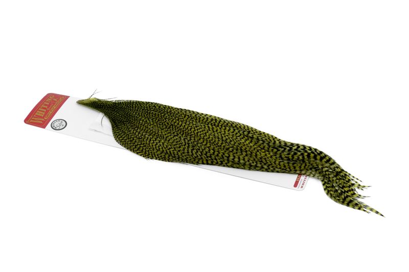 Whiting Silver 1/2 Cape â€“ dealerweb-cms-84f3f08d-176f-4c0a-8e2a-dc13805c5e25.jpg