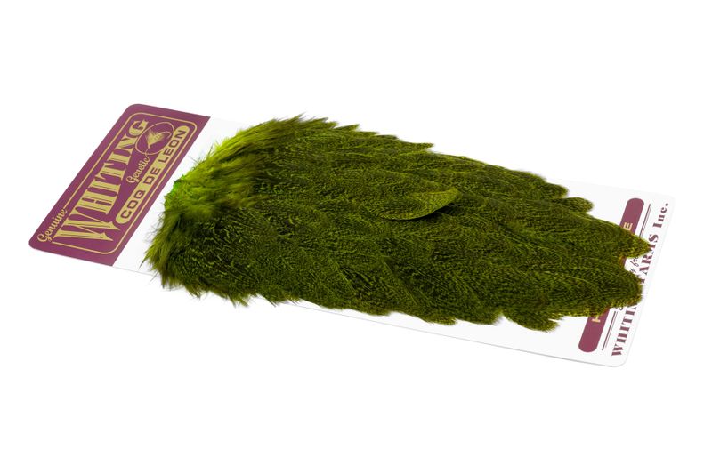 Whiting Coq de Leon Hen Saddle â€“ dealerweb-cms-85c78559-f10b-4a6d-9d86-dadcec438df1.jpg