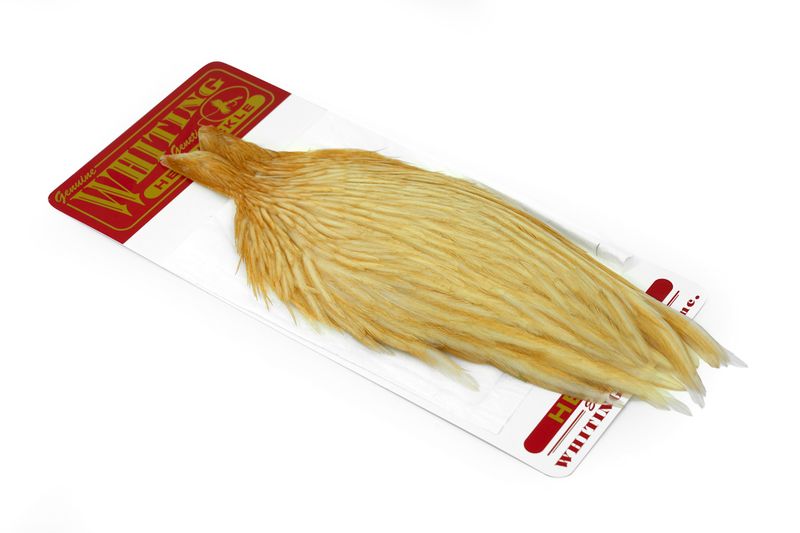 Whiting Hen Cape â€“ dealerweb-cms-85f78e23-87a9-4106-9031-1c9ef83f2432.jpg