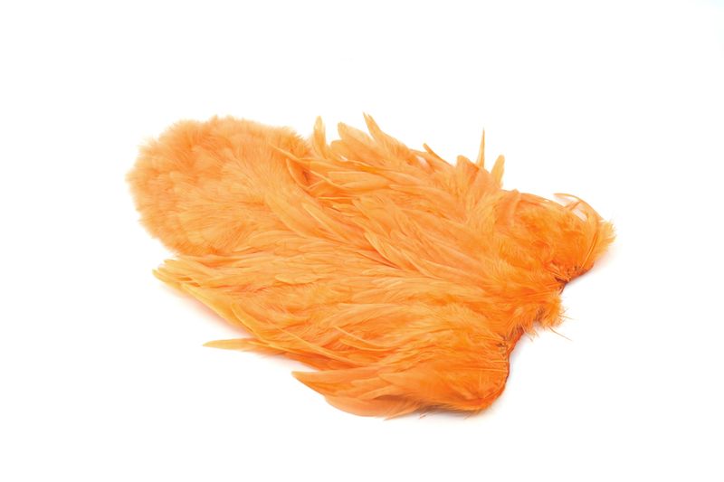 Whiting Rooster SH/C â€“ dealerweb-cms-8712c1c3-befa-45dc-a151-97efb5b6e069.jpg