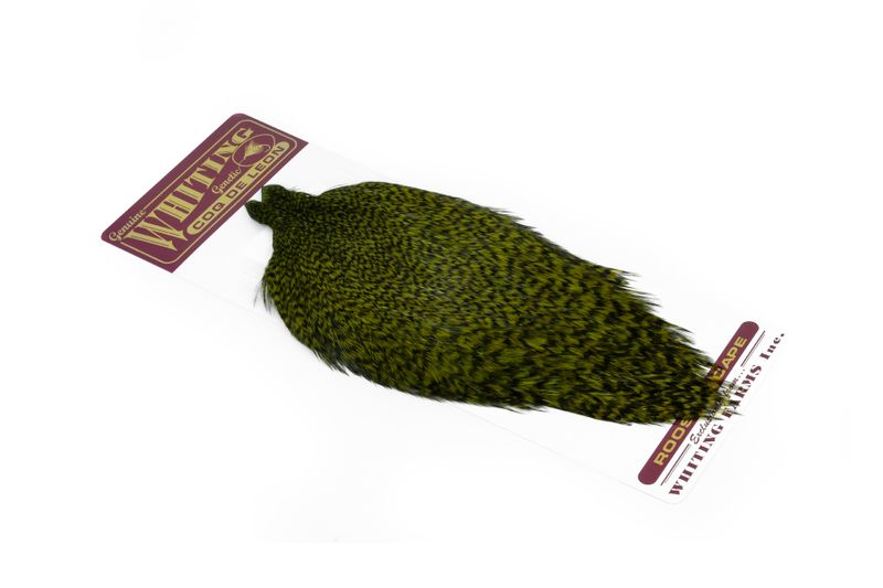 Whiting Coq de Leon Rooster Cape â€“ dealerweb-cms-874abfd3-29d7-4efa-bb38-4e696ada2e07.jpg