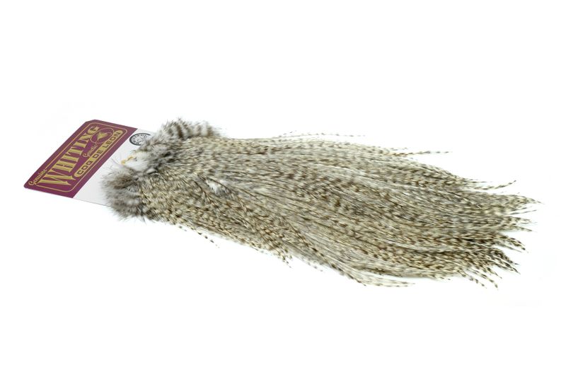 Whiting Coq de Leon Rooster Saddle – Silver â€“ dealerweb-cms-8769df5e-d66f-4ea9-9982-2026e22da668.jpg