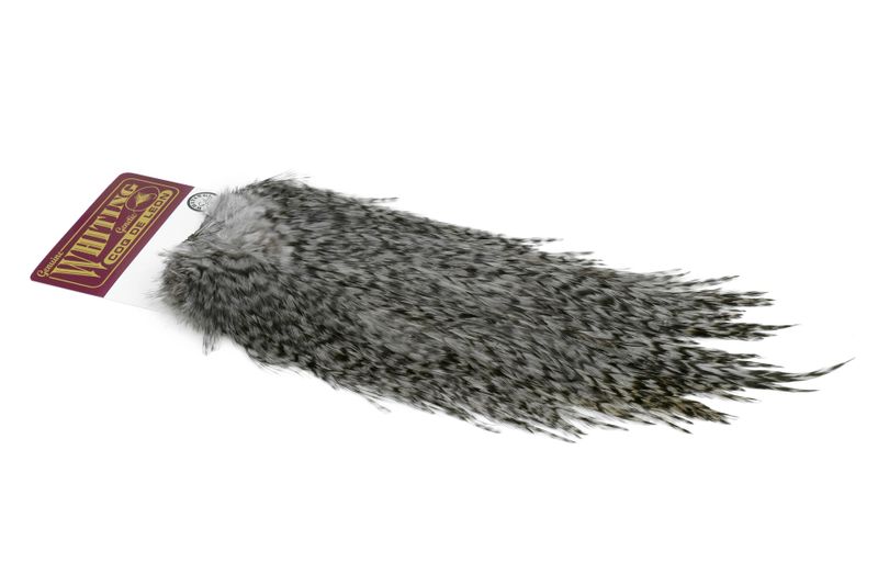 Whiting Coq de Leon Rooster Saddle – Silver â€“ dealerweb-cms-8927d56a-ead2-43d4-a5bc-cedcb0c84e4d.jpg