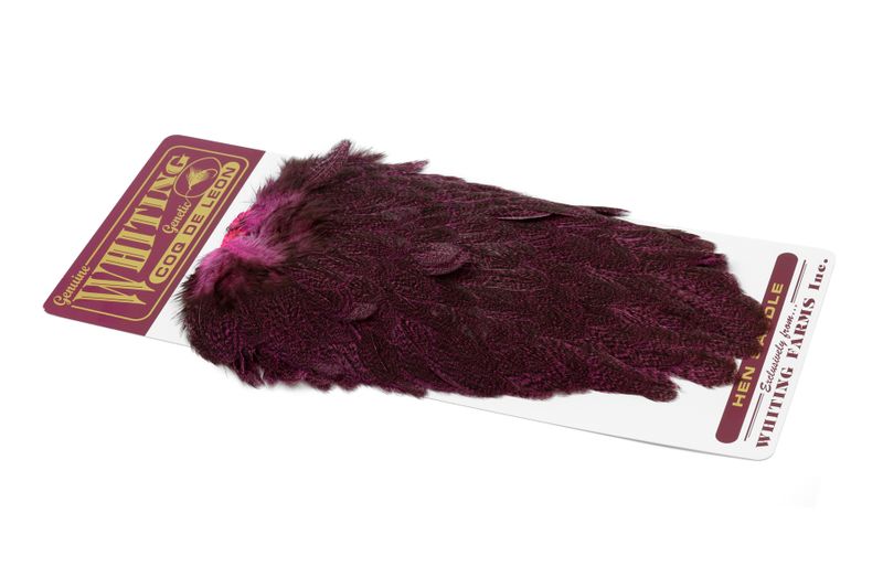 Whiting Coq de Leon Hen Saddle â€“ dealerweb-cms-89eab70d-3e2f-47f6-9f86-6205882bb96b.jpg