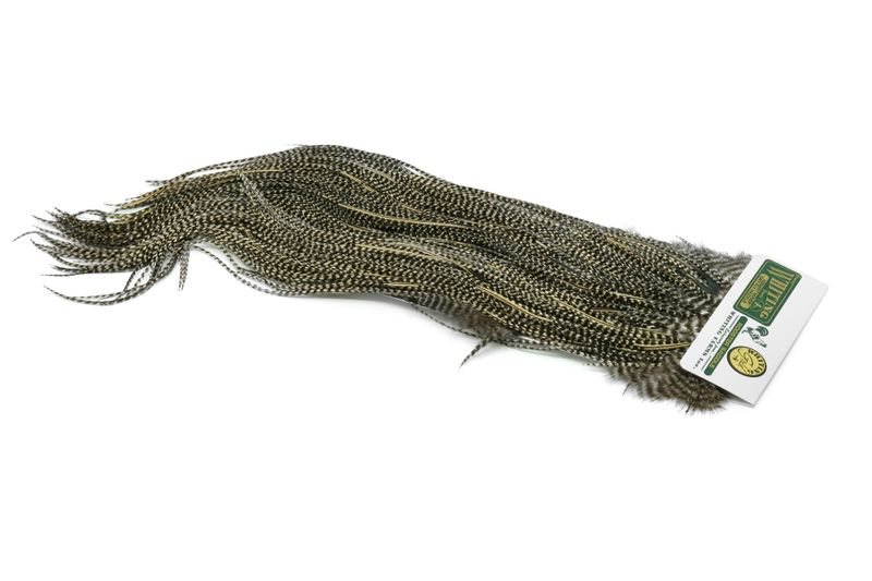 Whiting Hebert Rooster Saddle – Gold â€“ dealerweb-cms-8d358ce6-e24b-4ac1-a4e7-fd8a1c43bf59.jpg