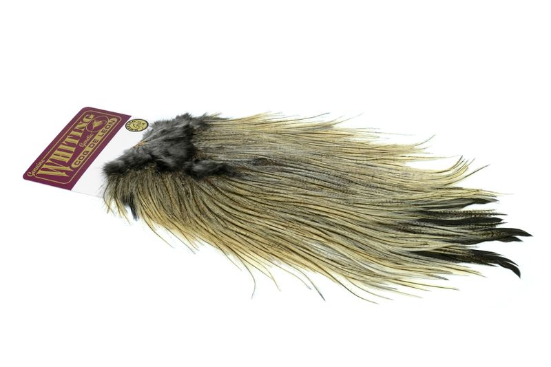 Whiting Coq de Leon Rooster Saddle – Gold â€“ dealerweb-cms-90810d51-f345-4d01-9ca5-439da39aeb92.jpg