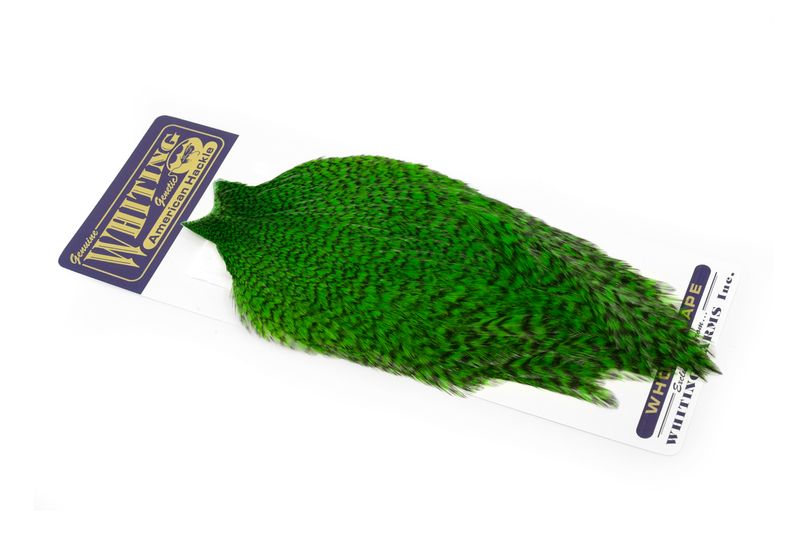 Whiting American Rooster Cape â€“ dealerweb-cms-944d3c6e-f0f5-4c1c-a2f8-6d306bd52d5b.jpg