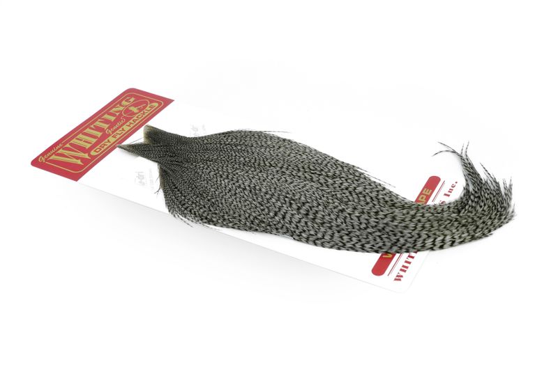 Whiting Rooster Cape – Commercial Grade â€“ dealerweb-cms-99f023b6-52a1-4ccd-878d-97e1b2f5a5d5.jpg