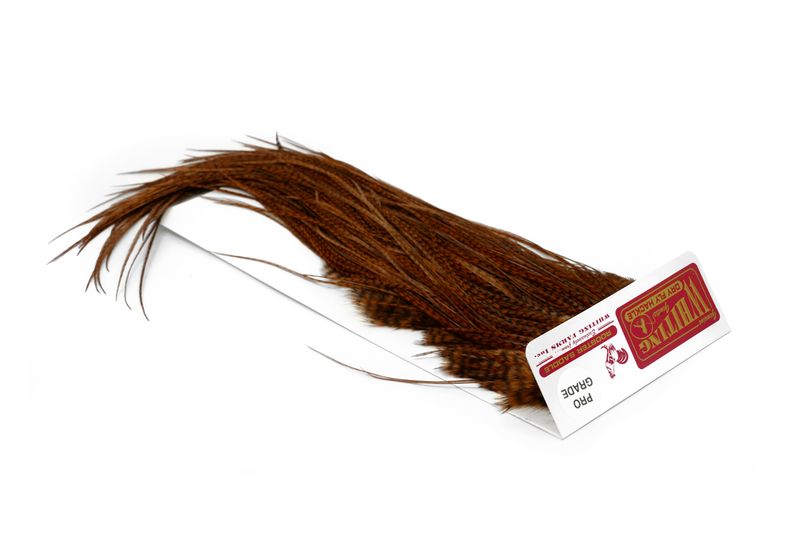 Whiting Rooster Saddle – Pro Grade â€“ dealerweb-cms-9a7aca56-6a00-45a8-ae8e-901a7f80c795.jpg