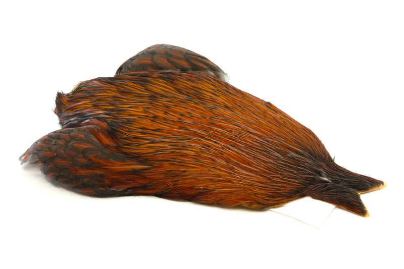 Whiting 4 B's Rooster Cape â€“ dealerweb-cms-9bd89a3c-c916-41d7-9b10-7ac823a2b470.jpg