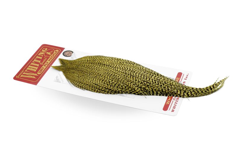 Whiting Rooster Cape – Bronze â€“ dealerweb-cms-a263dec7-71ba-4601-98db-58e97ab49e5f.jpg