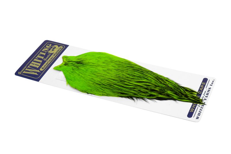 Whiting American Rooster Cape â€“ dealerweb-cms-a80d9b08-44b8-451c-b911-02c2f26f7b7f.jpg