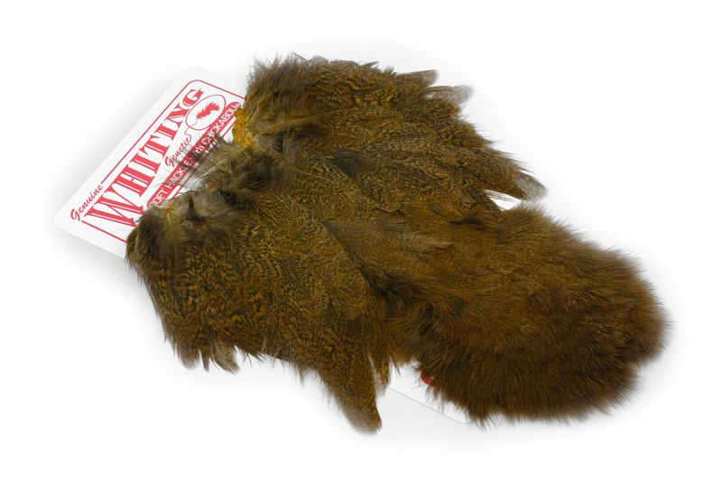 Whiting Coq De Leon Hen SH/C â€“ dealerweb-cms-aabc8f7f-0f5b-4752-92c4-2a166e77b17e.jpg