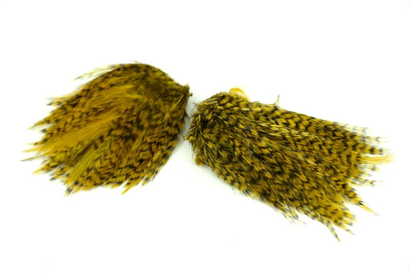 Whiting American Streamer Pack â€“ dealerweb-cms-aba523ac-abdb-4440-b05d-26fa1d86aa72.jpg