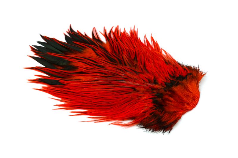Whiting Brahma Rooster Saddle â€“ dealerweb-cms-abbf250d-461c-44d4-b3c4-3af88ae3640f.jpg