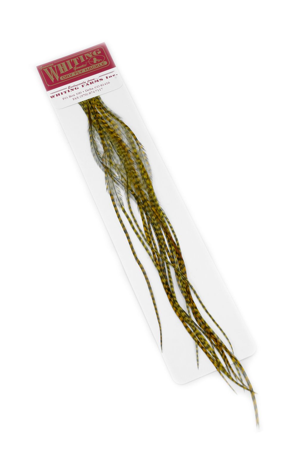 Whiting 100 Pack - Grizzly Olive size 16 Perfekt til flatwing tobis