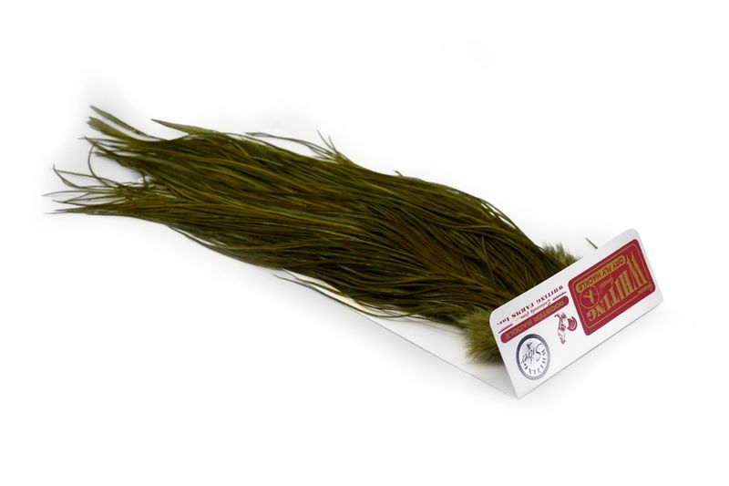 Whiting Rooster Saddle – Silver â€“ dealerweb-cms-b1f933e4-1702-43ee-98b3-9e34becc9433.jpg