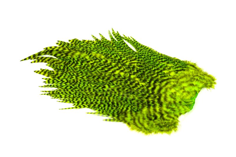 Whiting 4 B's Rooster Saddle â€“ dealerweb-cms-b7208078-ab14-464d-b5ab-e45f9264f4e0.jpg