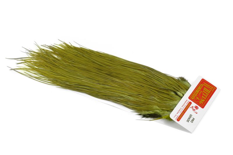 Whiting Pro Grade Midge Saddle â€“ dealerweb-cms-b8335bcd-e2dc-4913-8e7a-abdb16c781a3.jpg