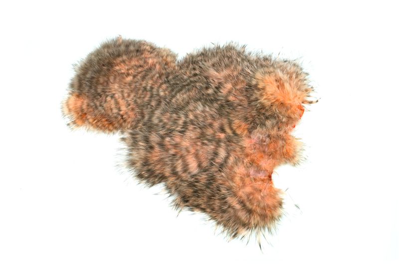 Whiting Spey SH/C â€“ dealerweb-cms-bb845fcb-7e91-4169-82c1-131e55ecd14a.jpg