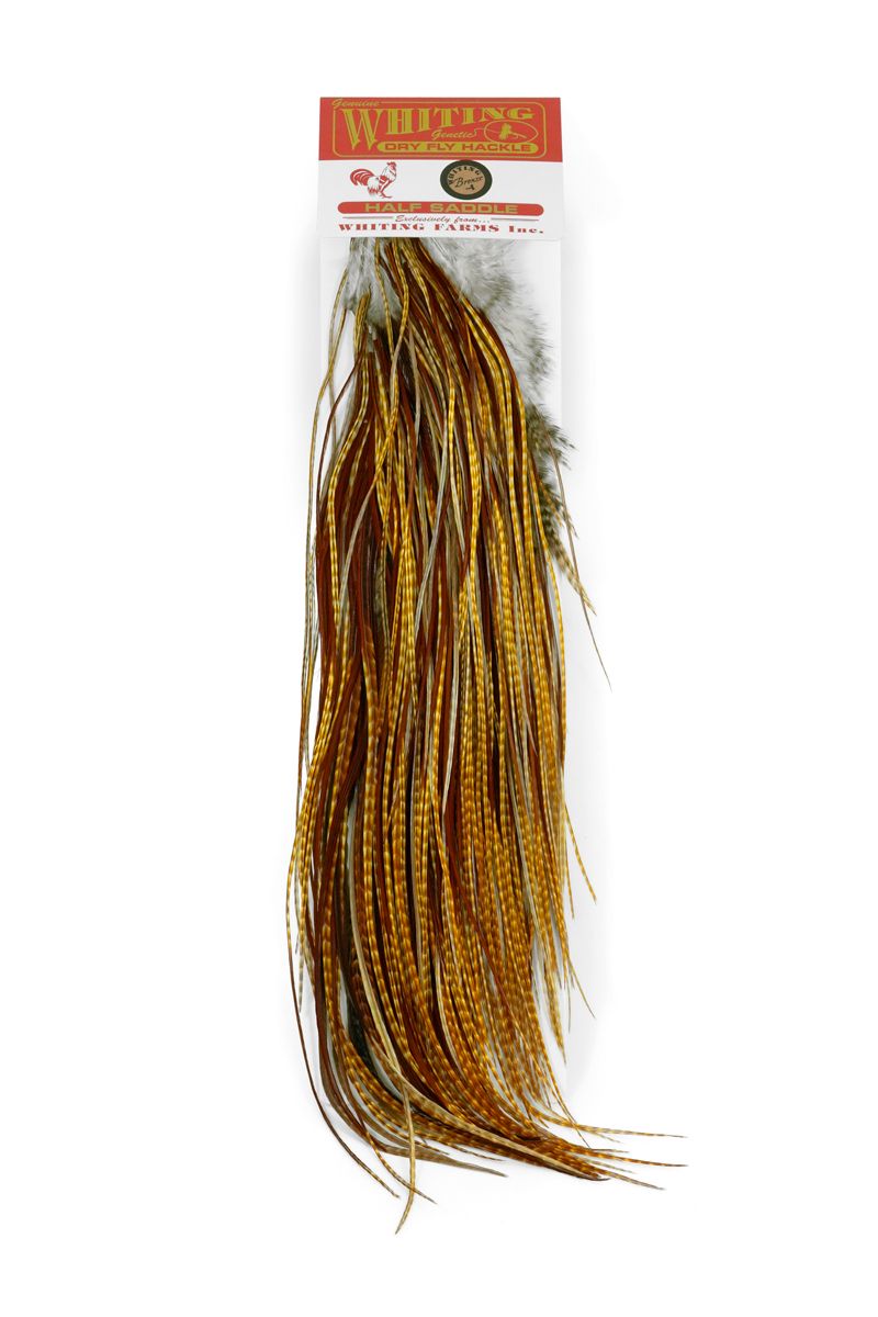 Whiting Rooster 1/2 Saddle – Bronze â€“ dealerweb-cms-bcd89d35-cd03-491b-a2ae-d8dbe094b17b.jpg