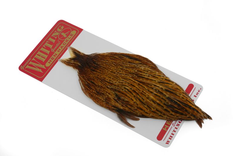 Whiting Hen Cape â€“ dealerweb-cms-c3ca27b0-dc6e-4e21-9d8a-90d76a2d63ef.jpg
